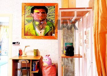 Cucina - Casa semi indipendente MADONNA DI POMEI
 
1unico, Caserta - foto 95