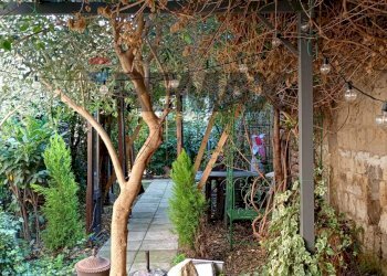 Giardino - Casa semi indipendente MADONNA DI POMEI
 
1unico, Caserta - foto 155