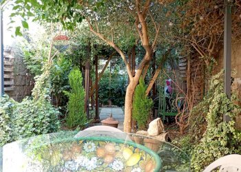 Giardino - Casa semi indipendente MADONNA DI POMEI
 
1unico, Caserta - foto 157