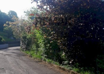 Giardino - Terreno edificabile Alzano Lombardo - foto 5