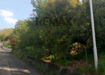 Giardino - Terreno edificabile Alzano Lombardo - foto 6