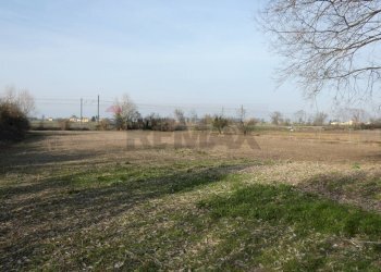 Giardino - Villa via emilia
 
177, Casteggio - foto 53