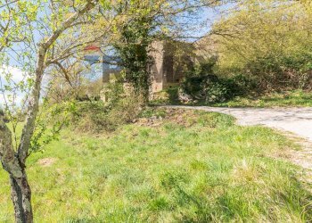 Giardino - Rustico Via della Madonna
 
0, Semproniano - foto 11