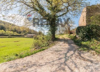 Giardino - Rustico Via della Madonna
 
0, Semproniano - foto 13