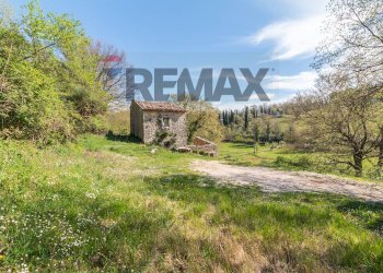 Giardino - Rustico Via della Madonna
 
0, Semproniano - foto 19