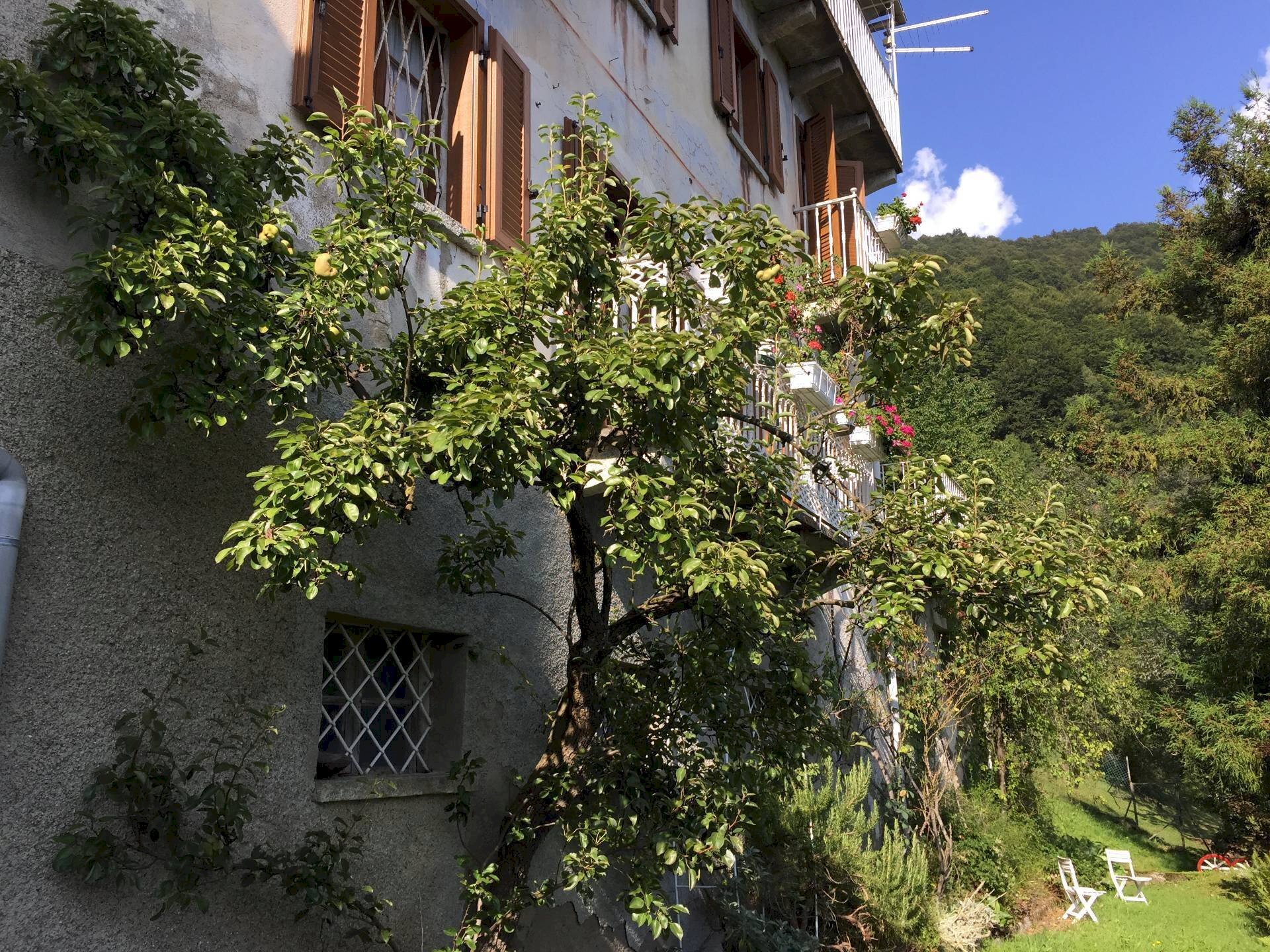 Foto 2 - Villa Frazione Costa, Fobello - photo 2