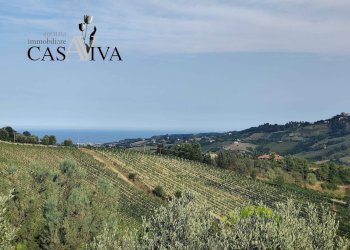 Foto 5 - Rustico Contrada Colle di Guardia
 
1, Ripatransone - foto 5