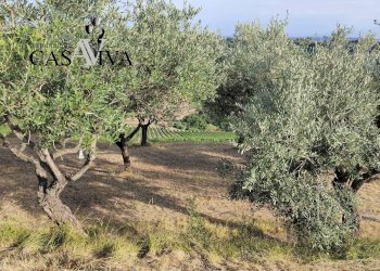 Foto 10 - Rustico Contrada Colle di Guardia
 
1, Ripatransone - foto 10