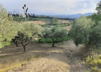 Foto 11 - Rustico Contrada Colle di Guardia
 
1, Ripatransone - foto 11
