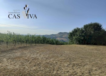 Foto 15 - Rustico Contrada Colle di Guardia
 
1, Ripatransone - foto 15