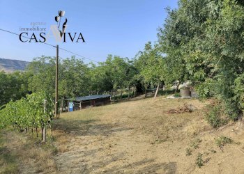 Foto 18 - Rustico Contrada Colle di Guardia
 
1, Ripatransone - foto 18