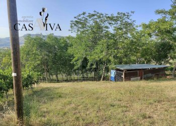 Foto 19 - Rustico Contrada Colle di Guardia
 
1, Ripatransone - foto 19