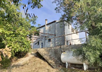 Foto 20 - Rustico Contrada Colle di Guardia
 
1, Ripatransone - foto 20