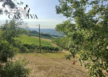 Foto 23 - Rustico Contrada Colle di Guardia
 
1, Ripatransone - foto 23