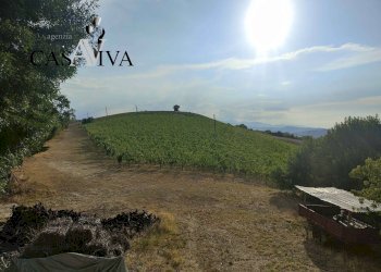 Foto 36 - Rustico Contrada Colle di Guardia
 
1, Ripatransone - foto 36