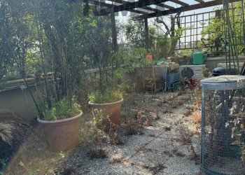 Giardino - Quadrilocale Via Papa Giovanni XXIII
 
21, Nerviano - foto 39