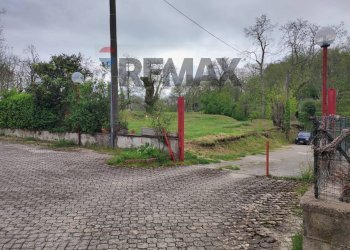 Giardino - Casa semi indipendente Strada Provinciale Roccamonfina - Teano
 
57, Roccamonfina - foto 25