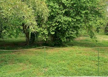 Foto 3 - Casa semi indipendente Via XXV Aprile
 
26, Cornate d'Adda - foto 3