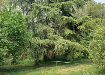 Foto 15 - Casa semi indipendente Via XXV Aprile
 
26, Cornate d'Adda - foto 15