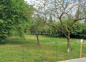 Foto 16 - Casa semi indipendente Via XXV Aprile
 
26, Cornate d'Adda - foto 16