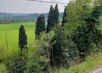 Foto 18 - Casa semi indipendente Via XXV Aprile
 
26, Cornate d'Adda - foto 18