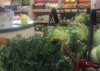 Dispensa di stoccaggio - Commercial Premises Roccaraso - photo 5