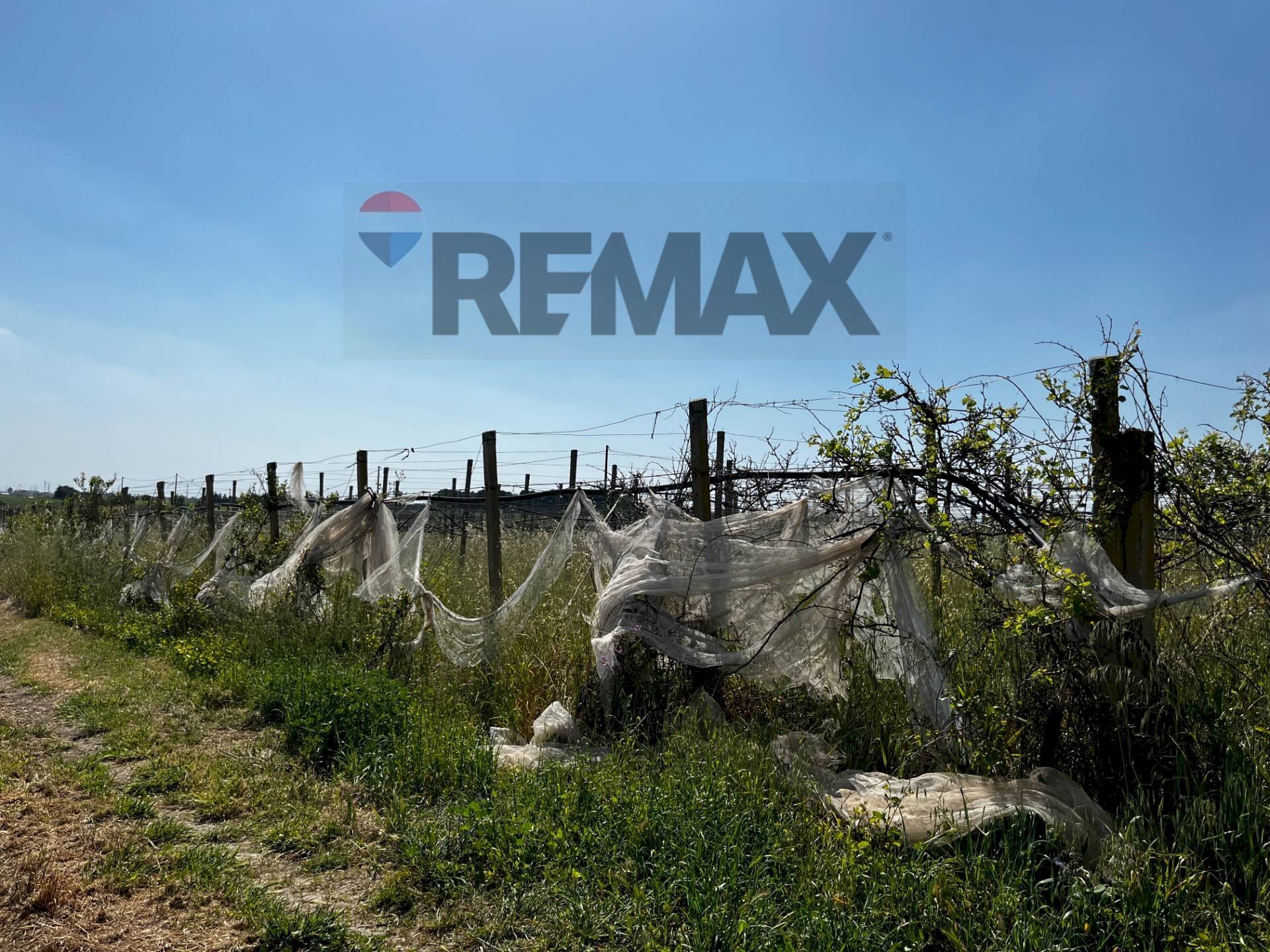 Edificio all\'aperto - Agricultural land sp7
 
snc, Chiaramonte Gulfi - photo 3