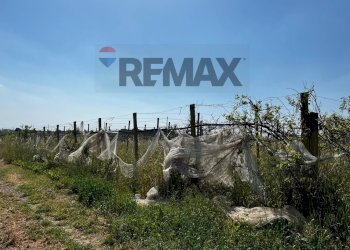 Edificio all\'aperto - Terreno agricolo sp7
 
snc, Chiaramonte Gulfi - foto 3