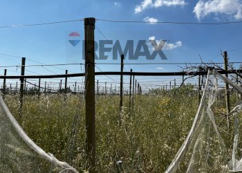 Vista dell\'acqua - Terreno agricolo sp7
 
snc, Chiaramonte Gulfi - foto 4