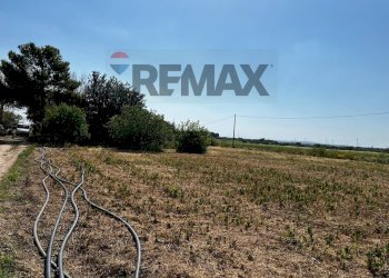 Giardino - Villa sp7
 
snc, Chiaramonte Gulfi - foto 24