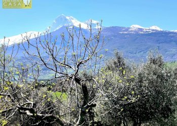 Foto 9 - Appartamento Bivio Collevecchio, Montorio al Vomano - foto 9