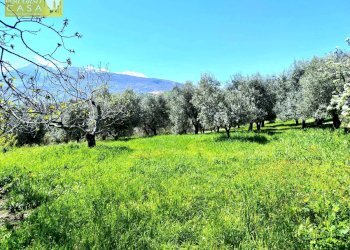 Foto 11 - Appartamento Bivio Collevecchio, Montorio al Vomano - foto 11