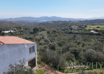 Foto 29 - Villa Località Sualeddu, La Maddalena - foto 28