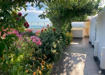 Giardino - Attico Alghero - foto 1