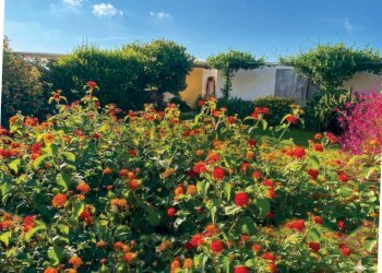 Giardino - Attico Alghero - foto 6