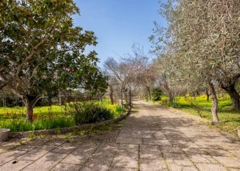 Giardino - Villa Largo Crabulazzi
 
snc, Sassari - foto 21