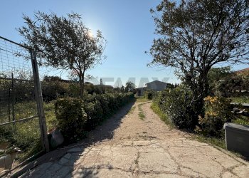 Giardino - Independent house Località Pedras De Fogu
 
8, Sorso - photo 7