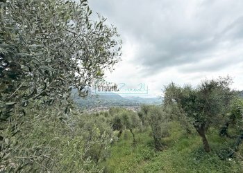 Foto 42 - Casa semi indipendente Via Colli Di Versona
 
40, Camaiore - foto 42