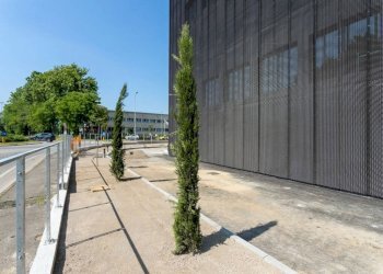 Zona - Capannone via Pastrengo, Seriate - foto 7