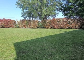 Terreno - Villa San Giovanni in Persiceto - foto 2