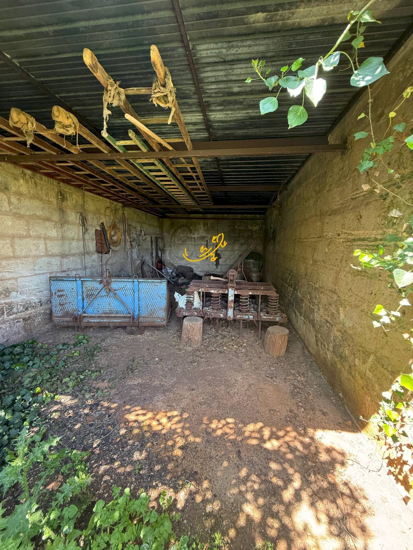 Foto 2 - Rustico Via Case Sparse, Polignano a Mare - foto 2