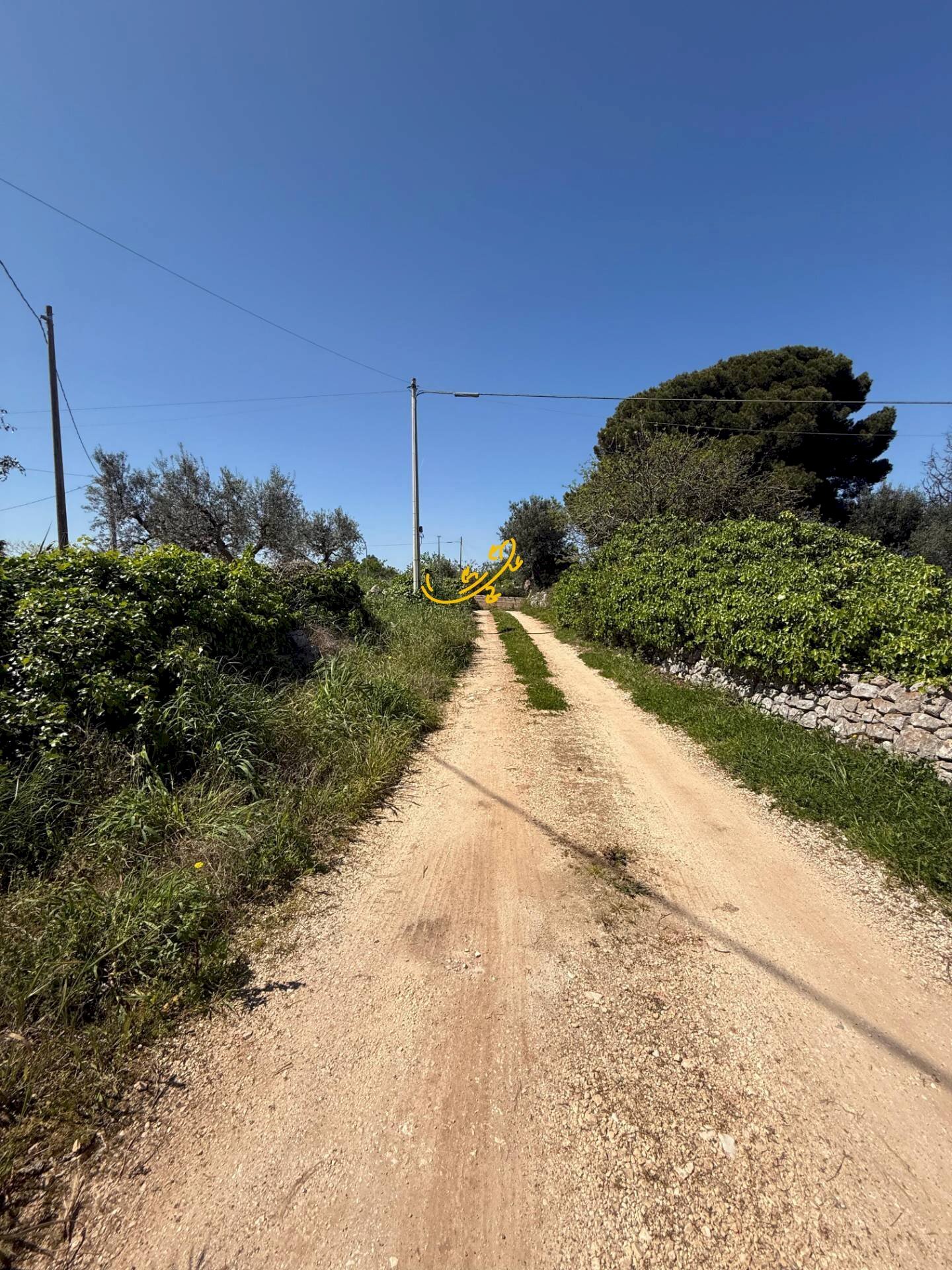 Foto 3 - Rustico Via Case Sparse, Polignano a Mare - foto 3