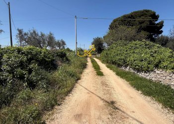 Foto 3 - Rustico Via Case Sparse, Polignano a Mare - foto 3