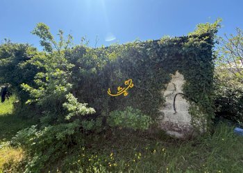 Foto 4 - Rustico Via Case Sparse, Polignano a Mare - foto 4