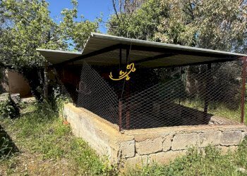 Foto 6 - Rustico Via Case Sparse, Polignano a Mare - foto 6