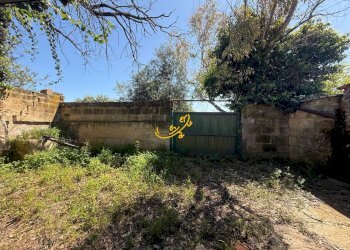 Foto 7 - Rustico Via Case Sparse, Polignano a Mare - foto 7