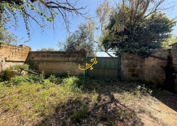 Foto 8 - Rustico Via Case Sparse, Polignano a Mare - foto 8