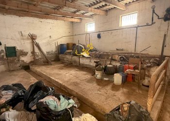 Foto 9 - Rustico Via Case Sparse, Polignano a Mare - foto 9