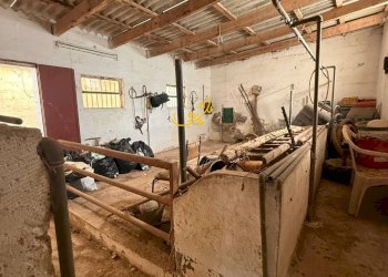 Foto 11 - Rustico Via Case Sparse, Polignano a Mare - foto 11