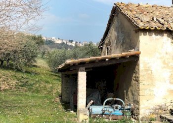 Terreno - Rustico via Tufi, 8, Cupramontana - foto 9